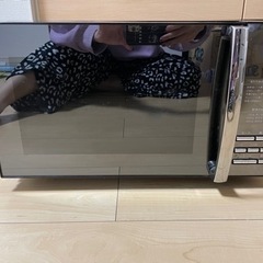 TWINBIRD電子レンジ