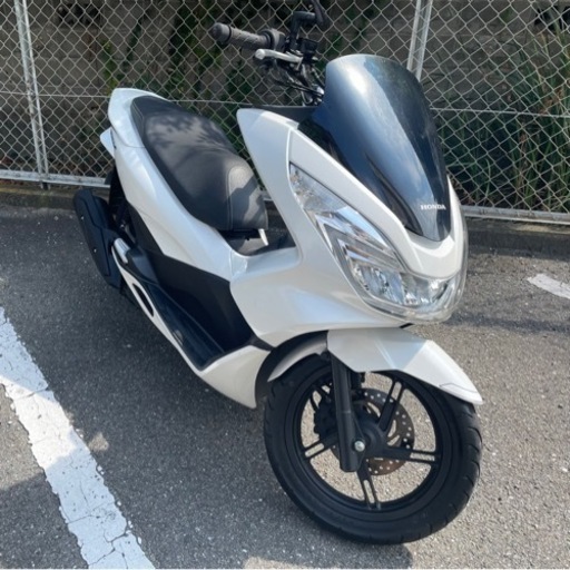 ホンダ HONDA バイク スクーター PCX 2016年式JF56 | mgb-securitysafe.pt