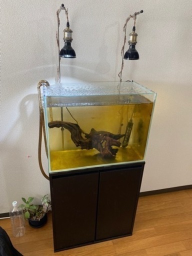 60センチハイタイプ水槽セット