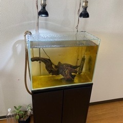 60センチハイタイプ水槽セット