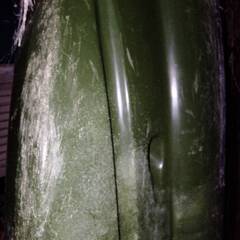 コンパクト　フィッシング　カヤック　釣り　