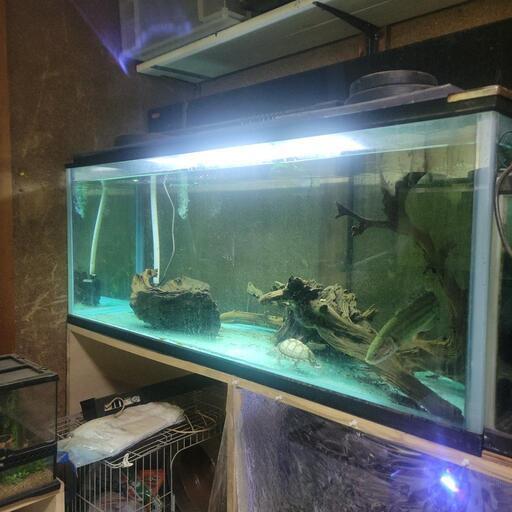 150×60×60cm水槽