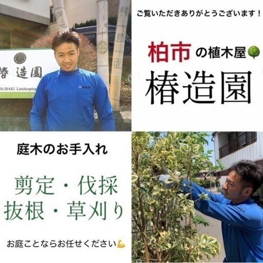 ７月８月予約お早めに！柏市の植木屋・椿造園《お庭のお手入れ》☆剪定 ...