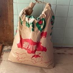 予約済　さぬき米 15kg (玄米)