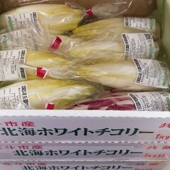 【値下げ】北海道産ホワイトチコリ