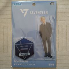 SEVENTEEN  ウォヌ アクリルスタンド