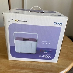 EPSON カラリオ