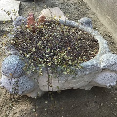 石の鉢 オブジェ 40×20センチ
