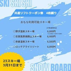 信越自然郷スーパーバリューチケット　リフト券　 1日券4枚つづり...