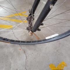 kona dew クロスバイク