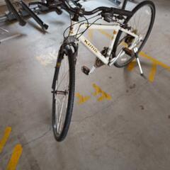 kona dew クロスバイク