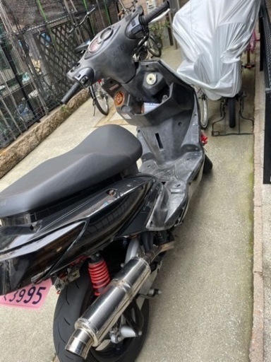 実働　シグナス　２型