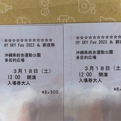 値下げ可能！！ HY SKY Fes 2023 & 前夜祭 大人2枚