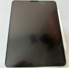 iPad pro 11インチ 第1世代256GB Apple p...