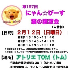 2月12日(日)🌸にゃん☆ぴーす猫の譲渡会🌸「アトリエTOM」J...