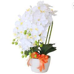 造花　鉢　白い花　胡蝶蘭等　お譲りください。