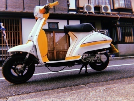 スズキ 蘭 ラン RUN ca11a