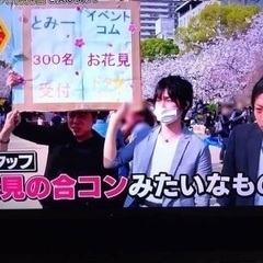 🌸関西最大規模🌸4月1日(土)【大阪お花見パーティ飲み会】TVで...