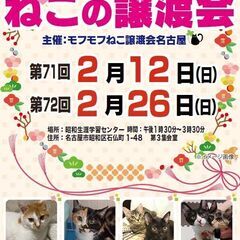 2/12(日)　猫の譲渡会　in　名古屋市昭和生涯学習センター