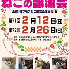 2/26(日)　猫の譲渡会　in　名古屋市昭和生涯学習センター