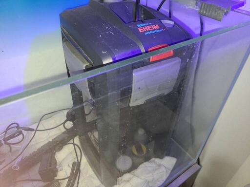 楽天市場】ADA 水槽の通販