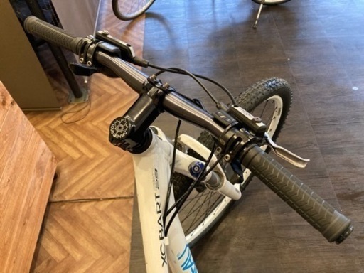 【前後タイヤ・チューブ新品！ルイガノ】3×9速　ディスクブレーキ　29インチマウンテンバイク　ホワイト 前後タイヤ・チューブ新品！ルイガノ】3×9速 ディスクブレーキ 29