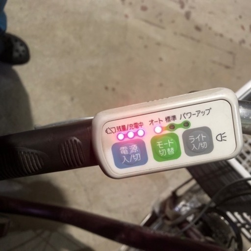 電動自転車 24インチ | elpichidanguino.cl