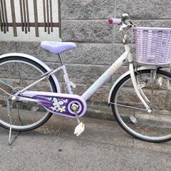 子供　自転車　エコパル　22インチ