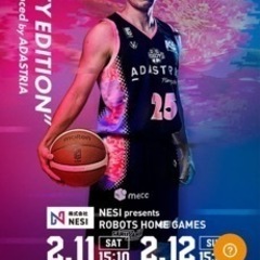 Bリーグ2月12日ペアチケット売ります！