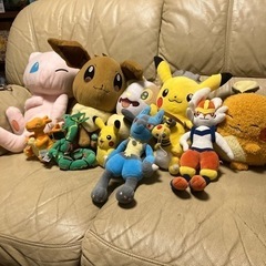 ポケモン１１匹