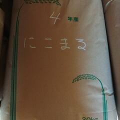 R4年産　にこまる　玄米　30キロ　島原半島内無料配達可能