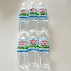 ペットボトル　水　ミネラルウォーター　500ml ６本　