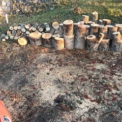【ネット決済】原木　持ち帰り放題　薪　木　値下げしました。