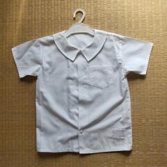 ふたば幼稚園の制服半袖シャツ 130