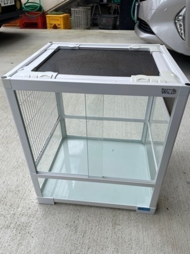 repti wild パンテオン 6045 Repti Wild 爬虫類・両生類その他用品