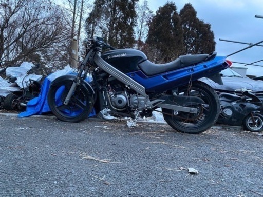 その他 ZZR250