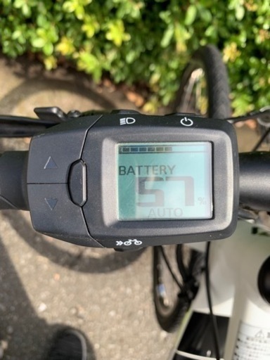アンティーク ドームナンシー オパールセント 薊＆矢車菊紋様金彩 