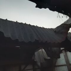 屋根材とサイディング