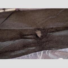 【取引中】コールマン　ツールームテント