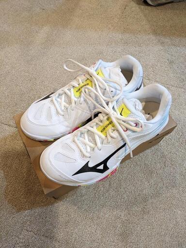 MIZUNO　バドミントンシューズ　25cm 2E