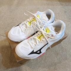 MIZUNO　バドミントンシューズ　25cm 2E