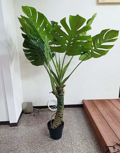 ⑥【処分価格】再値下げ！！新品 モンステラ 140cm 人工観葉植物 フェイクグリーン