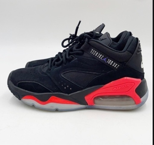 【試着のみ】NIKE JORDAN Point Lane Infrared 26