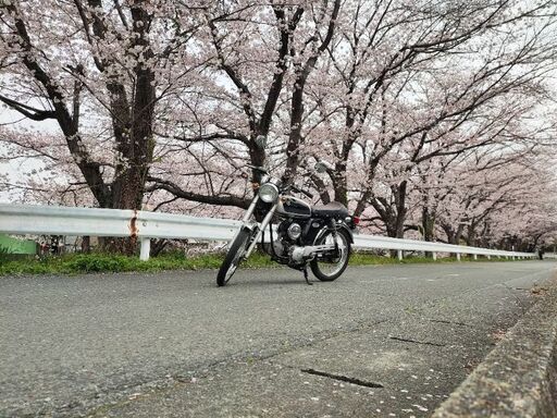 【最終値下げ】ヤマハ YB1 Four