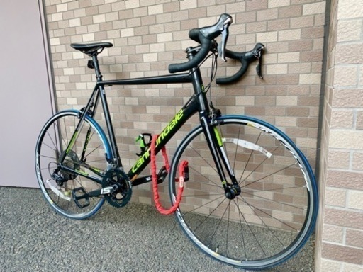 CANNONDALE : CAAD12 ロードバイク 最終値下げ Cannondale CAAD12