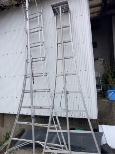 ハセガワ園芸三脚　2.6m