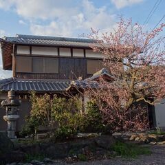 空き家の大掃除