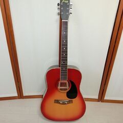 ギター Jeison STANDARD №200 訳あり 