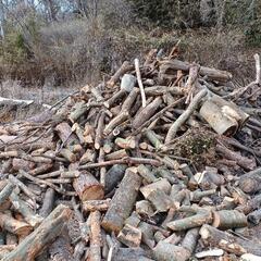伐採　剪定木　薪　ストーブ　焚き火