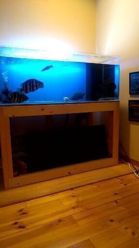 120×60×45　アクリルOF水槽　水槽　熱帯魚　説明文熟読